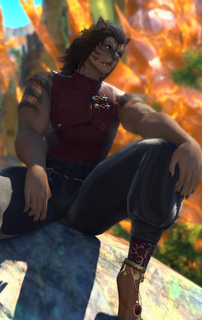 Aera Lioness of Aglaia